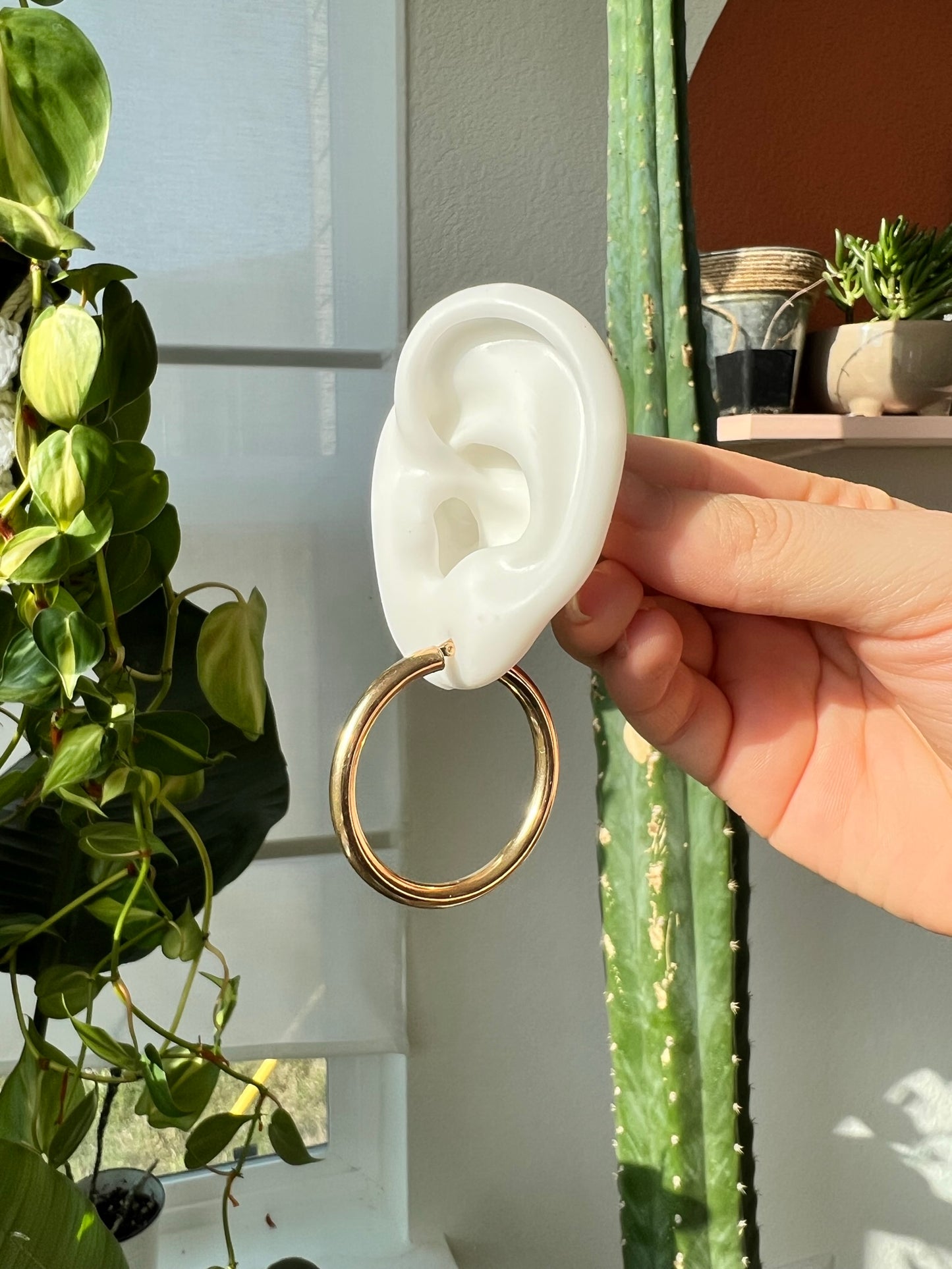 The Medium Tube Hoops